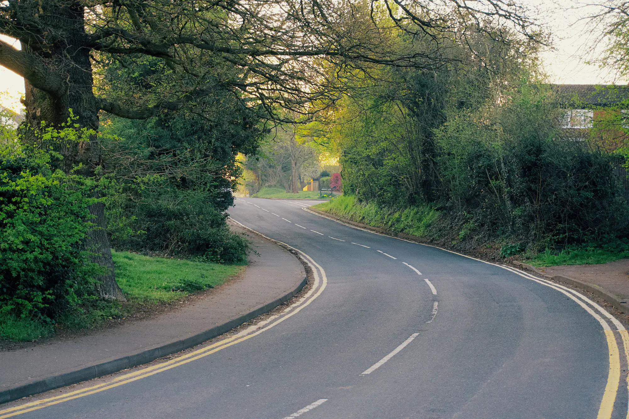 A kerbed lane bending between trees, with a footway on one side and painted centre and edge lines